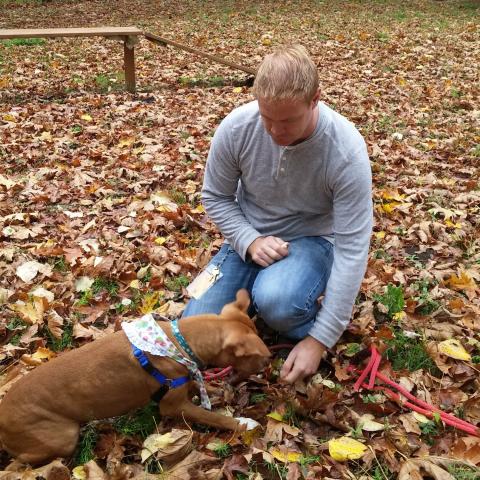 Man giving a dog a treat