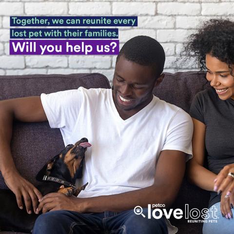 Petco Love Lost graphic- a couple is reunited with their pet