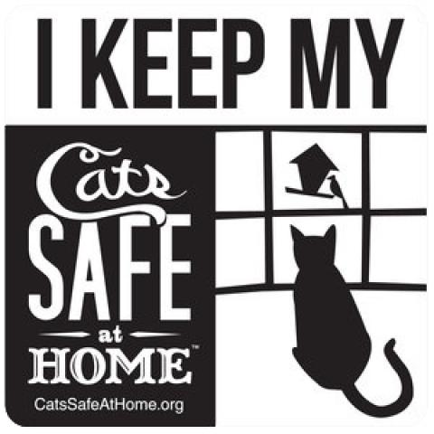 Illustration of a cat looking out the window. Text reads I keep my cats safe at home