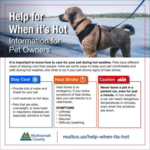 Tips to help for when it's hot